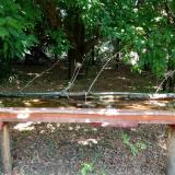 photo 2021-07-04 11-48-15