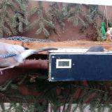 photo 2021-02-21 07-19-50