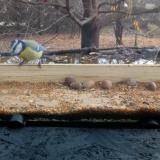 photo 2021-11-10 10-07-19