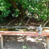 photo 2021-08-03 10-57-58