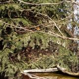 photo 2022-03-01 12-34-05 vorosbegy