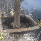 photo 2019-12-29 13-22-13