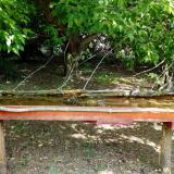 photo 2021-05-12 11-14-52