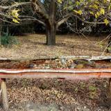 photo 2021-10-22 09-29-20