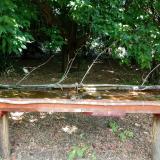 photo 2021-07-05 11-47-39