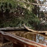 photo 2022-03-20 15-53-47 cinke