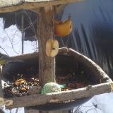 photo 2019-01-29 11-56-43