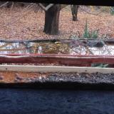 photo 2021-11-08 15-36-36