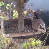 photo 2019-12-12 12-05-09