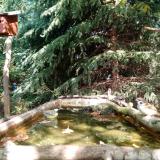 photo 2023-10-11 12-45-57