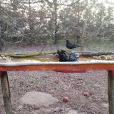 photo 2021-03-13 05-59-32