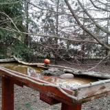 photo 2022-03-09 16-18-04