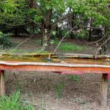 photo 2021-04-28 16-30-28