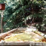 photo 2023-10-04 15-00-37