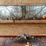 photo 2022-01-27 13-45-01