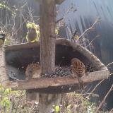 photo 2019-12-21 11-50-20