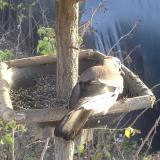 photo 2019-12-17 14-03-12