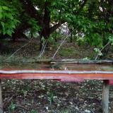 photo 2021-05-15 05-01-16