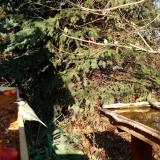 photo 2021-11-12 13-25-43