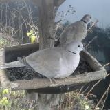 photo 2019-12-25 07-42-19