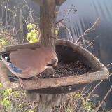 photo 2019-12-22 12-09-33