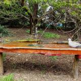 photo 2021-04-19 12-52-57