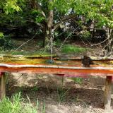 photo 2021-04-29 12-03-20