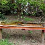 photo 2021-04-26 14-07-00