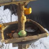 photo 2019-01-27 15-16-44