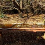 photo 2021-10-27 14-08-36