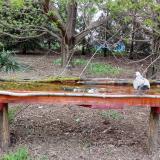 photo 2021-04-14 17-59-33