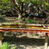 photo 2021-04-23 14-24-41