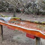 photo 2021-03-30 18-12-06