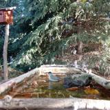 photo 2023-10-16 09-47-20