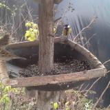 photo 2019-12-21 10-11-40