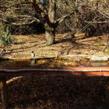 photo 2021-10-25 14-27-07