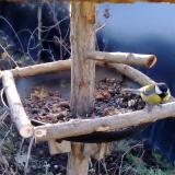 photo 2019-01-02 08-27-07