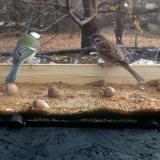 photo 2021-11-10 10-22-43