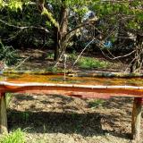 photo 2021-04-21 09-44-05