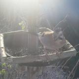 photo 2019-12-28 09-25-50