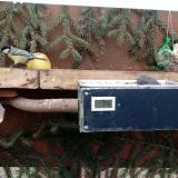 photo 2021-02-06 10-40-28