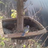 photo 2019-12-21 10-28-32