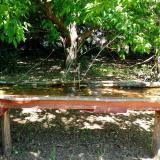 photo 2021-05-10 12-05-24