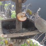 photo 2019-12-04 07-53-33