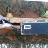 photo 2021-02-13 08-04-47