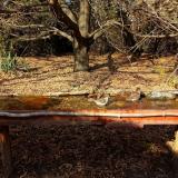 photo 2021-10-27 14-09-48