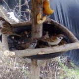 photo 2019-02-02 10-58-14