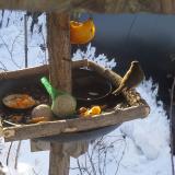 photo 2019-01-26 08-51-45