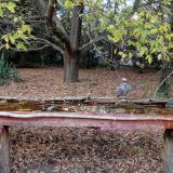 photo 2021-10-19 16-54-22