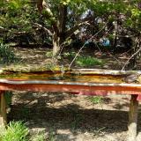 photo 2021-04-23 14-24-21